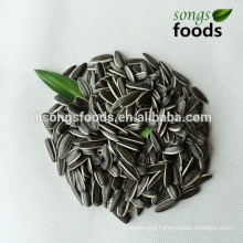 Ukrainian Bulk Sunflower Seeds for Oil